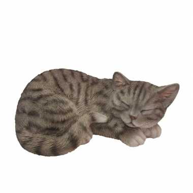 Goedkope dierenbeeld slapende kat/poes grijs/wit