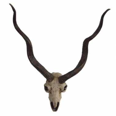 Goedkope dierenhoofd schedel antilope gewei