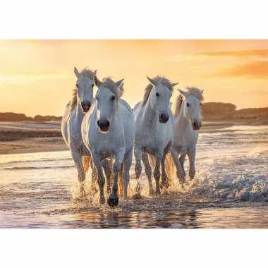 Goedkope poster kudde witte paarden strand