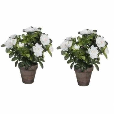 Goedkope x groene azalea kunstplant witte bloemen pot stan grey