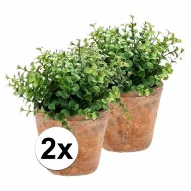Goedkope x kunstplant eucalyptus groen oude terracotta pot