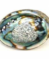 Goedkope abalone schelp smudgen salie