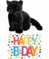 Goedkope cadeau setje pluche zwarte kat poes knuffel happy birthday wenskaart