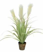 Goedkope cortaderia pampasgras grasplanten kunstplanten pot 10219200