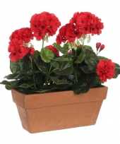 Goedkope geranium balkon kunstplant rood keramieken pot l b h
