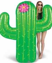 Goedkope opblaasbare cactus luchtbed speelgoed