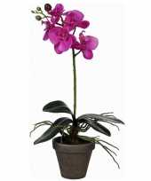 Goedkope phalaenopsis orchidee kunstplant paars grijze pot h d