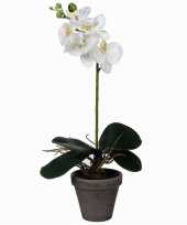 Goedkope phalaenopsis orchidee kunstplant wit grijze pot h d