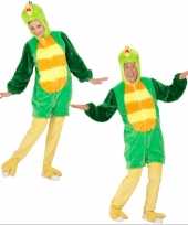 Goedkope pluche groene vogel kostuum