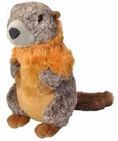 Goedkope pluche marmot knuffel 10080896