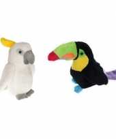 Goedkope set tropische vogel knuffels speelgoed
