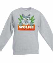 Goedkope sweater grijs kinderen wolfie wolf