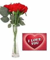 Goedkope valentijnsdag cadeau vaas rode rozen valentijnskaart