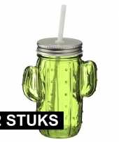 Goedkope x glazen cactus drinkpotje drinkglas deksel groen 10153654