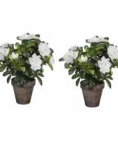 Goedkope x groene azalea kunstplant witte bloemen pot stan grey 10160625
