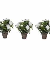 Goedkope x groene azalea kunstplant witte bloemen pot stan grey