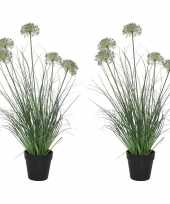 Goedkope x groene paarse allium sierui kunstplanten zwarte pot 10163970