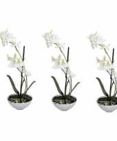 Goedkope x kunstplant witte orchidee phalaenopsis pot 10159464
